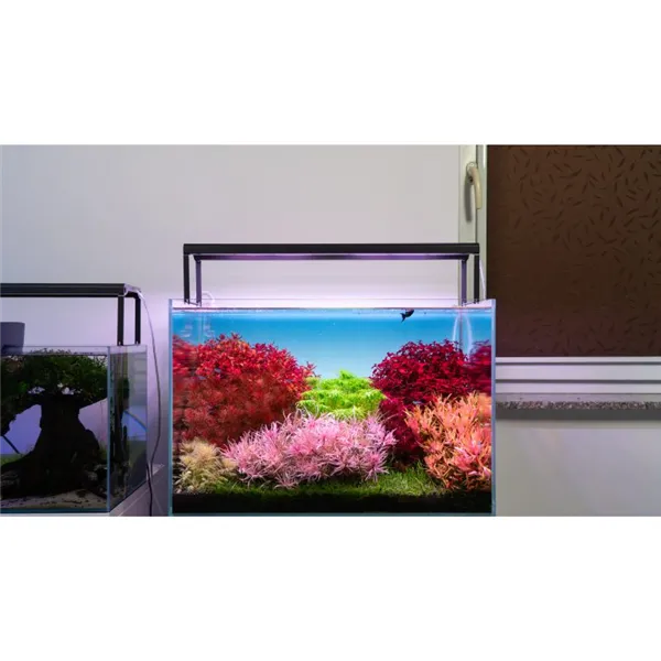 Set SKYLIGHT HYPERBAR FL.60S:  1 lamp + hanging suspension kit + power adapter
