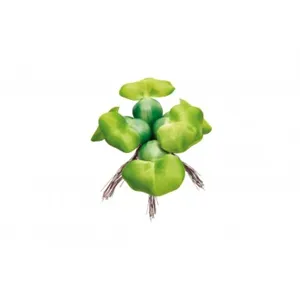 Pontec PondoHyacinth Pontec PondoHyacinth