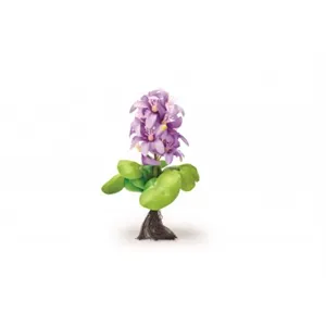 Pontec PondoHyacinth Blooming Pontec PondoHyacinth Blooming