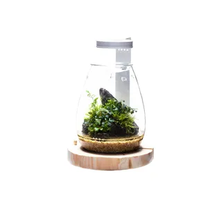 DOOA Glass Pot SHIZUKI DOOA Glass Pot SHIZUKI