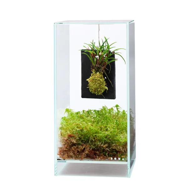 DOOA Terra Plate